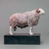 Herdwick Sheep by Kelly John