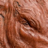 Red Ruby Devon Bull (Elmford Discretion) by Kelly John
