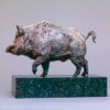 Wild Boar by Kelly John
