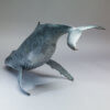 Humpback Whale by Kelly John