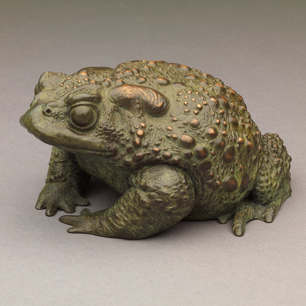 Toad II by Kelly John